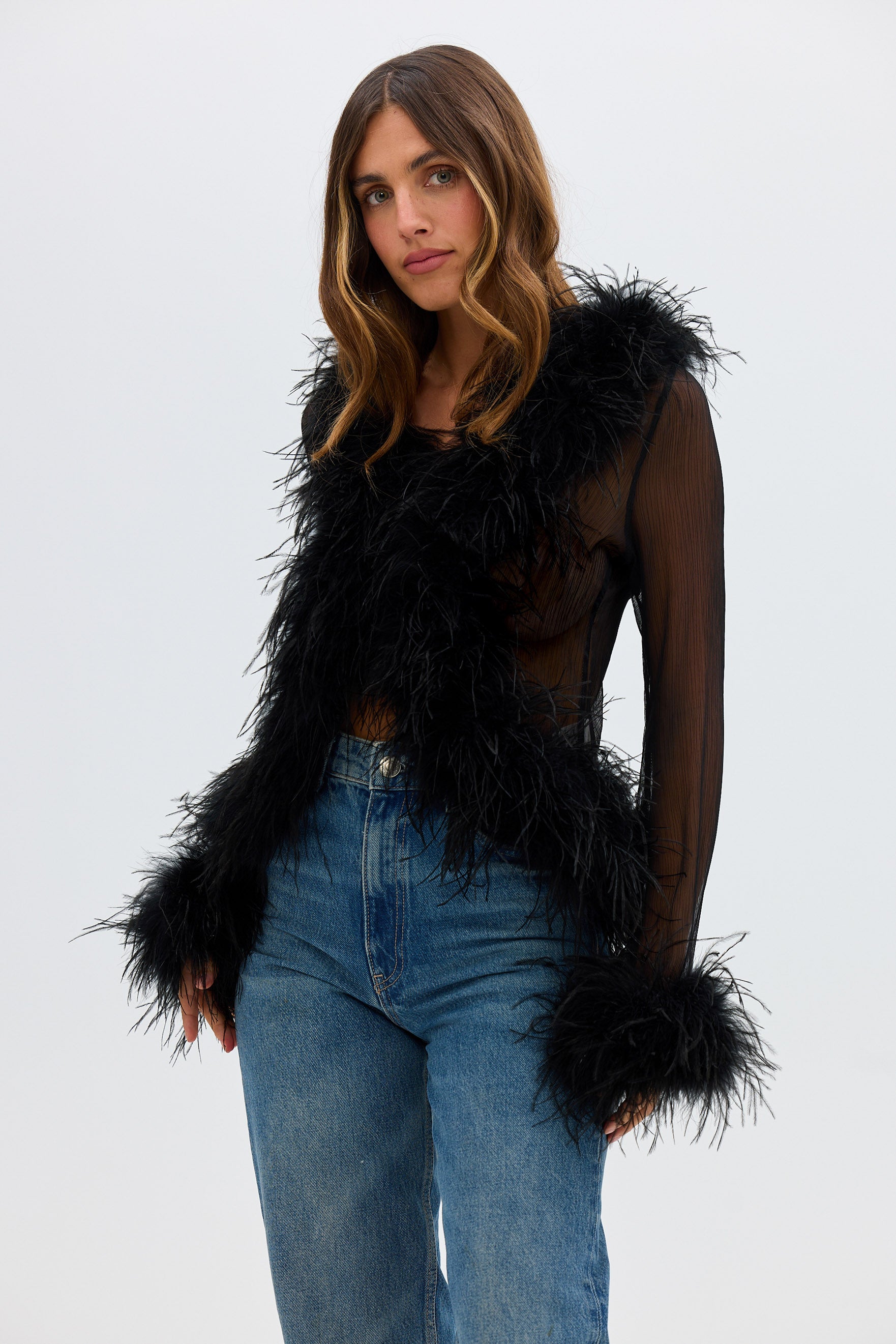 bubish Gigi Sheer Feather Blouse Black TOP